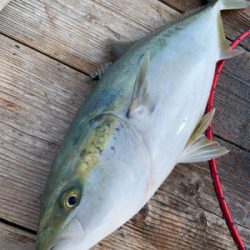 釣堀 水宝さんにて