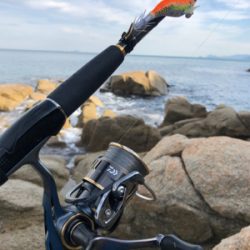 今年のラストエギング