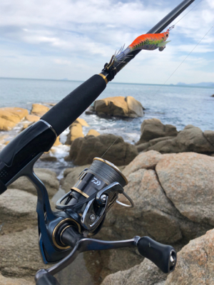 今年のラストエギング