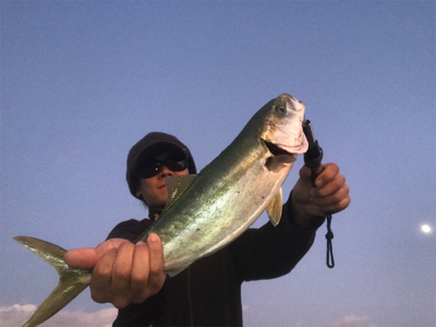 ハマチ!ヒイカ!!短時間で絶好釣!!