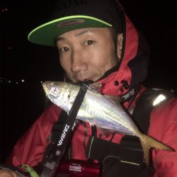 アジ/ヒイカ/アオリイカ♪GUNNING-STYLE