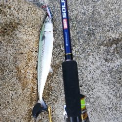 ライトショアジギング