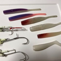 今日はワームに厳しい日でした