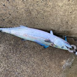 ショアジギング