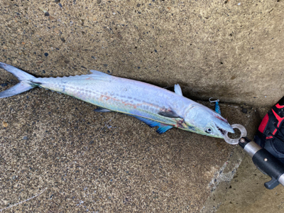 ショアジギング