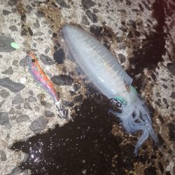 いつもの場所で、