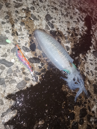 いつもの場所で、