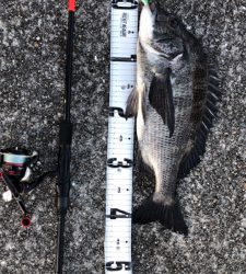 チニングではありません