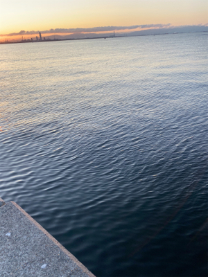 今シーズン最後のショアジキ