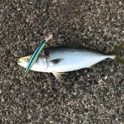 3連続ぼーずからの復活。