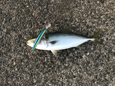 3連続ぼーずからの復活。