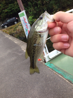 初の沖島釣行！