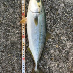 気温も釣果も寒い