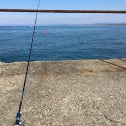 ライトショアジギング
