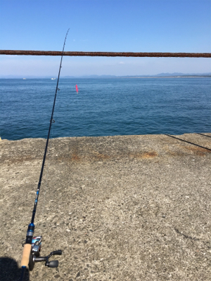 ライトショアジギング