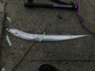 遅咲きの初タチ