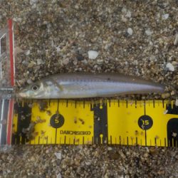 ラストキス&ファーストセイゴ