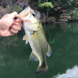 午前中ボート釣行！