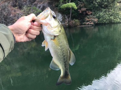 午前中ボート釣行！