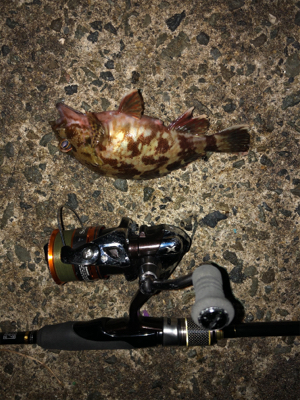 そろそろメバル