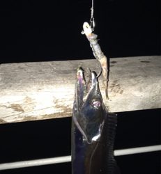 青、確保できず