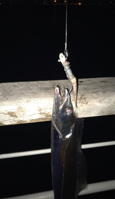 青、確保できず