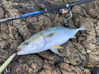 2連休連続ロックショア