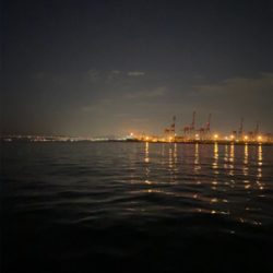 ハマチパターン