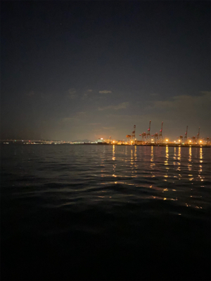 ハマチパターン