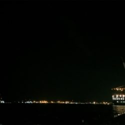 ワインドの日？