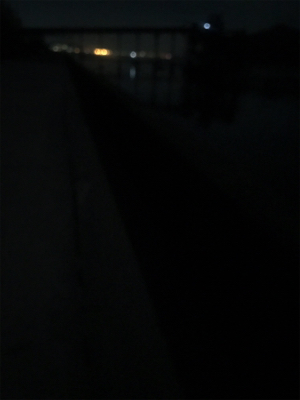 メバリング開幕