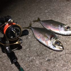 明日の朝ごはん