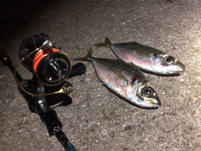 明日の朝ごはん