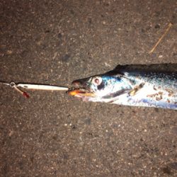 30分間限定…なんとか一本汗