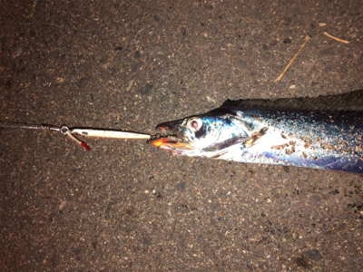 30分間限定…なんとか一本汗