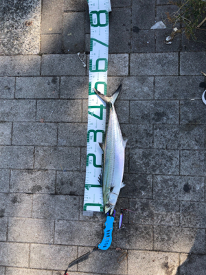 相変わらず渋い