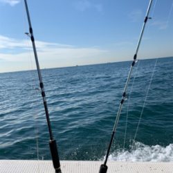 爆風劇渋ジギング