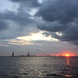 夕まずめ反応薄め