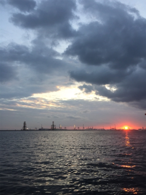 夕まずめ反応薄め