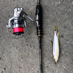 ジグヘッドフライ