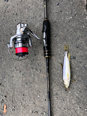 ジグヘッドフライ