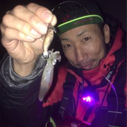 ヒイカゲームからの回遊アジング☆GUNNING-STYLE