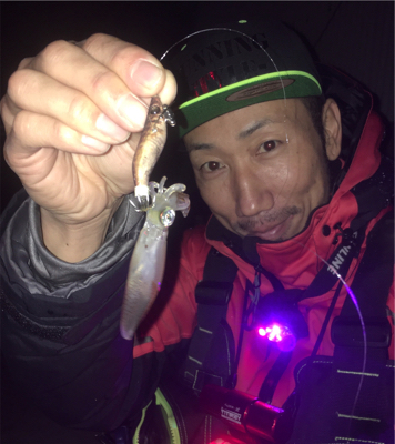 ヒイカゲームからの回遊アジング☆GUNNING-STYLE