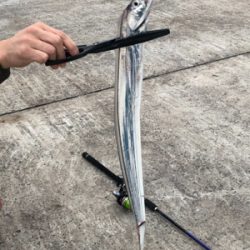 デカアジ求めて