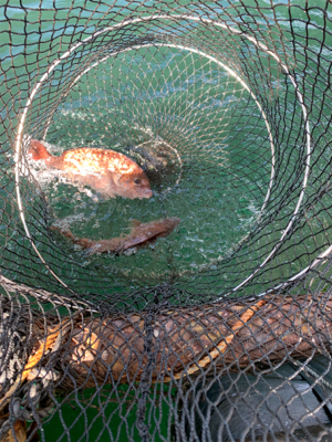 ポート田尻さんにて