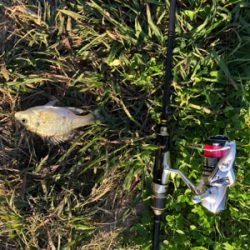 近所の中流域にて