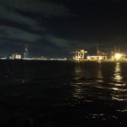 夕まづめのみアタリ集中