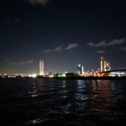 メバルはどこ??