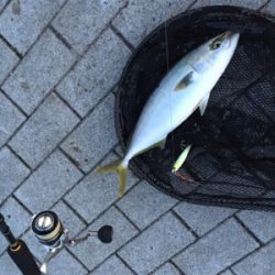 再び渋く、、、何とか1本