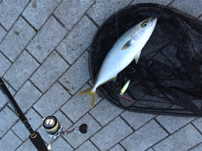 再び渋く、、、何とか1本